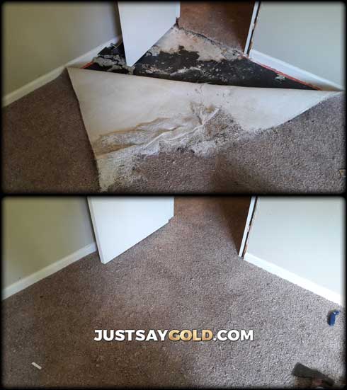 assets/images/causes/slider/site-dog-ripped-carpet-repairing-pet-damage-citrus-heights-ca-denver-drive