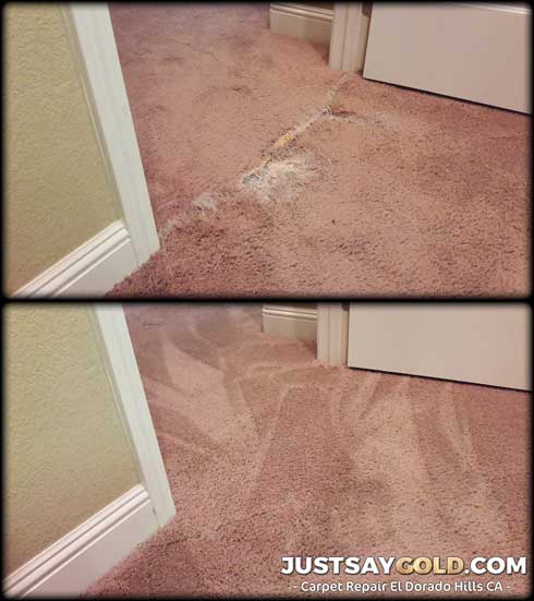 assets/images/causes/slider/site-pet-damaged-doorway-carpet-repair-el-dorado-hills-ca-medici-way